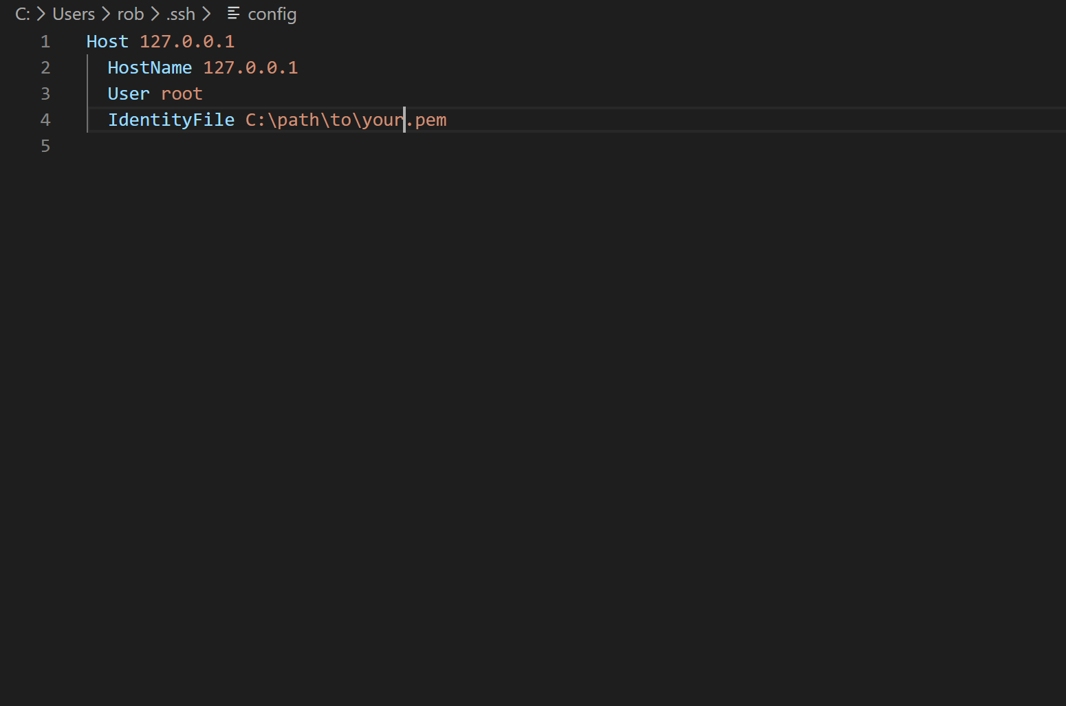 Connecting VS Code to an EC2 Instance Using Remote – SSH – HTML + CSS ...